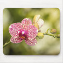 Search for pink orchid mousepads Nature
