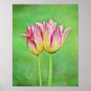 Search for twin art Flower