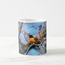 Search for oriole coffee mugs Wildlife