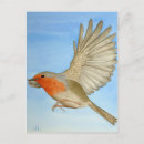 Search for robin painting postcards Red