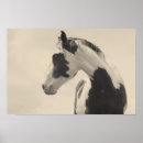 Search for pony posters Gelding