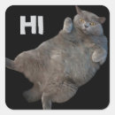 Search for fat cat stickers Black