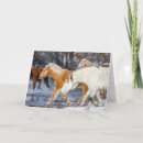 Search for stream cards Horse