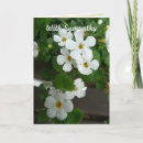 Search for condolences white flower cards Death