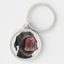 Search for lick key rings Dog