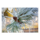Search for pine needle art Winter