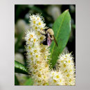 Search for nectar art Bumble bee