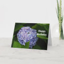 Search for hydrangeas birthday cards Floral