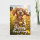 Search for spaniel dog cards From the dog