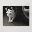 Search for mustache white postcards Cute