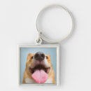 Search for cute corgi key rings Animals