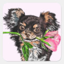 Search for dog rose stickers Flowers