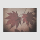 Search for maple leaf tissue paper Fall