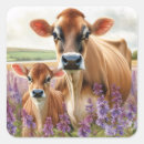 Search for dairy cattle stickers Calf