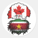 Search for suriname flag stickers Surinamese