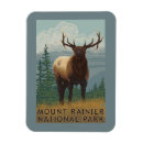 Search for scenes magnets States