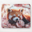Search for red panda mousepads Nature
