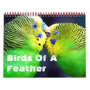 Search for bird calendars Parakeet