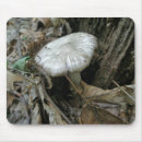 Search for silk mousepads Nature