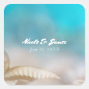 Search for blue shell stickers Tropical