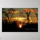 Search for sunset silhouette posters Colourful