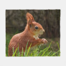 Search for red squirrel blankets Nature