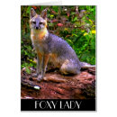 Search for foxy lady Nature