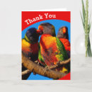 Search for lorikeets cards Australia