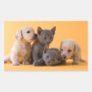 Search for russian blue cats stickers Pet