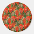 Search for fields magnets Green