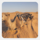 Search for erg stickers North africa