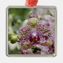 Search for singapore christmas tree decorations Flower