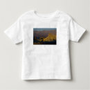 Search for zabriskie tshirts Death valley n p
