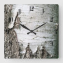 Search for tree trunk clocks Texture
