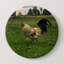 Search for chicken badges Fowl