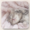 Search for tabby barware Pink