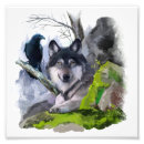 Search for black white wolf posters Canine
