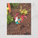 Search for cute roosters postcards Colourful