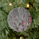 Search for macro christmas tree decorations Leaf