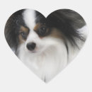 Search for kennel stickers Puppy