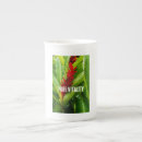 Search for rain drops mugs Nature