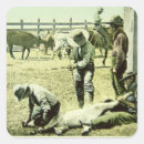 Search for early 1900s stickers Century