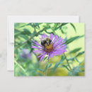 Search for bumblebee postcards Insect