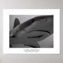 Search for scuba art Snorkelling