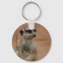 Search for meerkat key rings Zoo