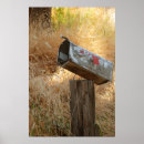 Search for mail art Box