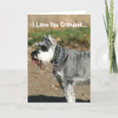 Search for dog grandma cards Mum