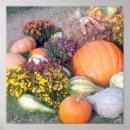 Search for gourd posters Harvest