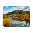 Search for cottonwood cards Autumn