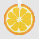 Search for citrus christmas tree decorations Orange